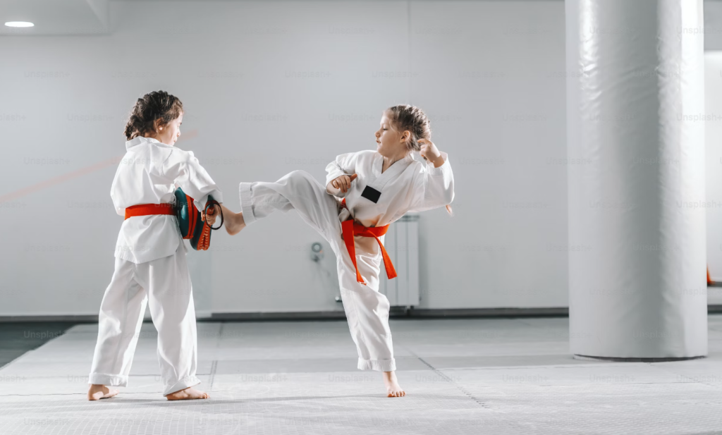 Enseignement traditionnel avec les Dojo Aïkido 26 et 07 - ici